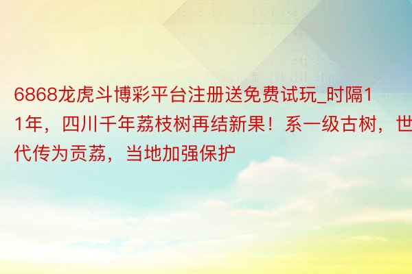 6868龙虎斗博彩平台注册送免费试玩_时隔11年，四川千年荔枝树再结新果！系一级古树，世代传为贡荔，当地加强保护